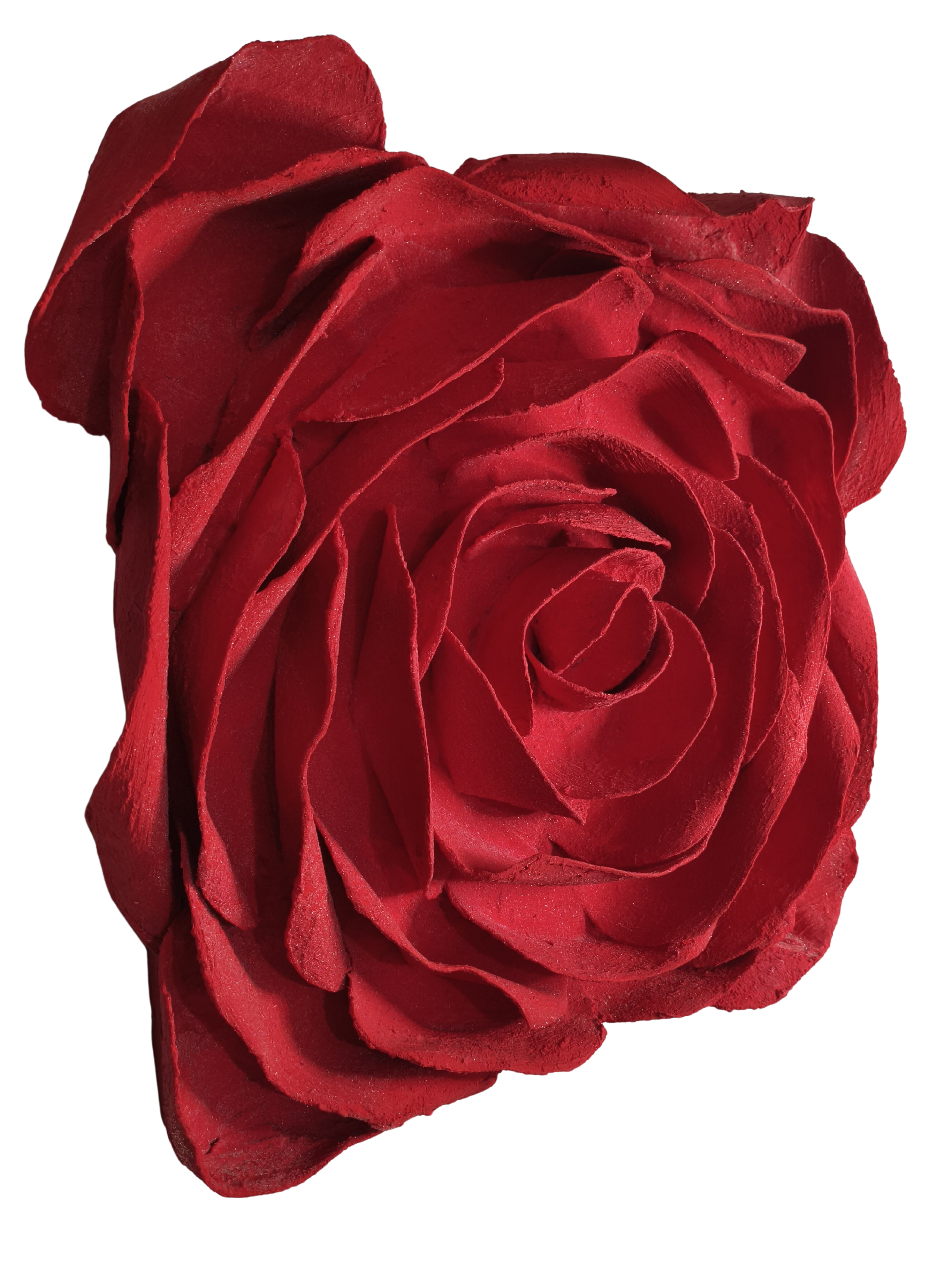 Rosa de azucar