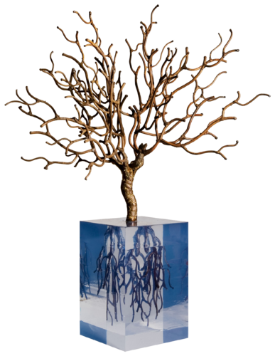 ENRAIZADO III by Fernando Suárez Reguera, Sculpture for Sale on Select
