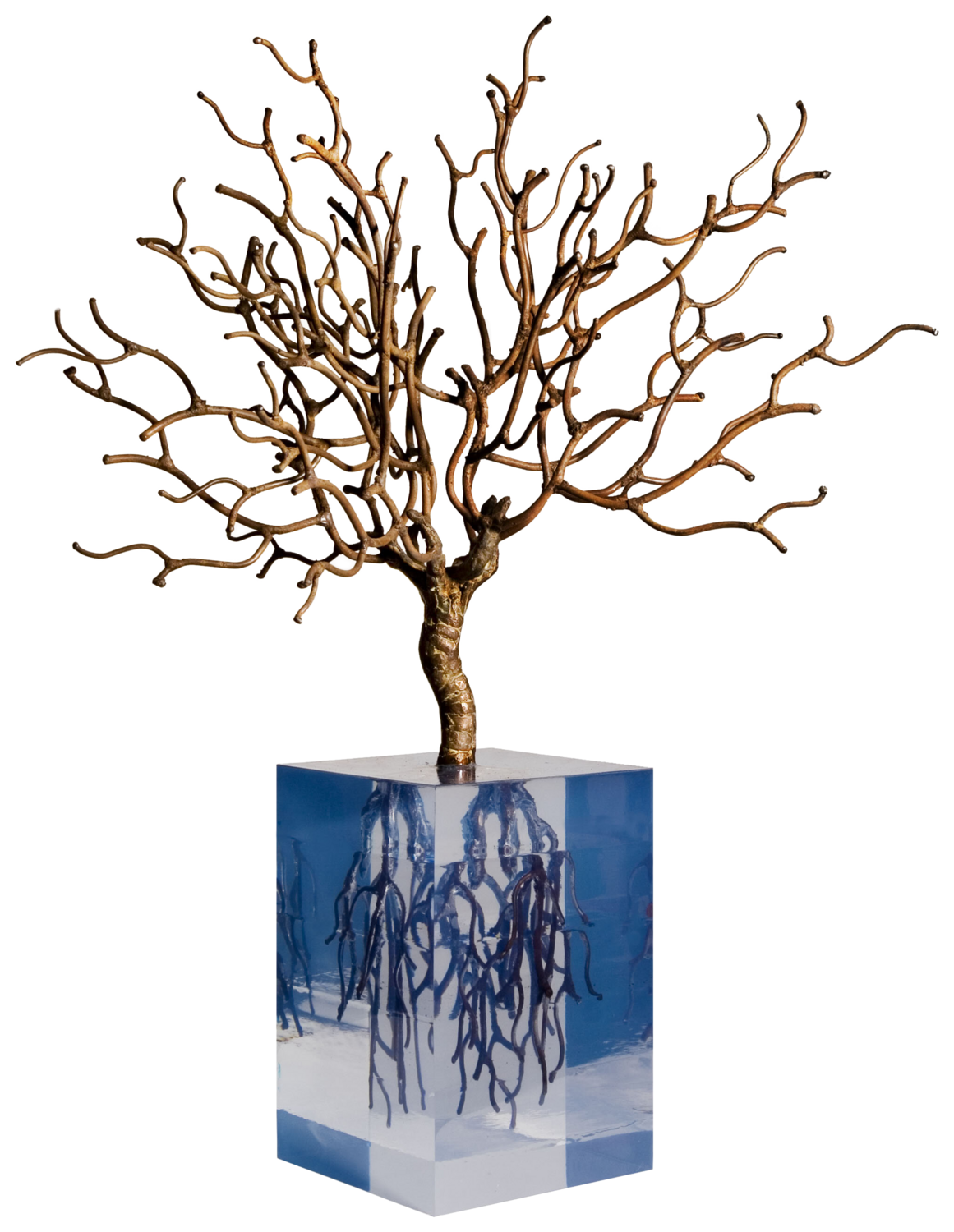 ENRAIZADO III Fernando Suárez Reguera Sculpture for sale