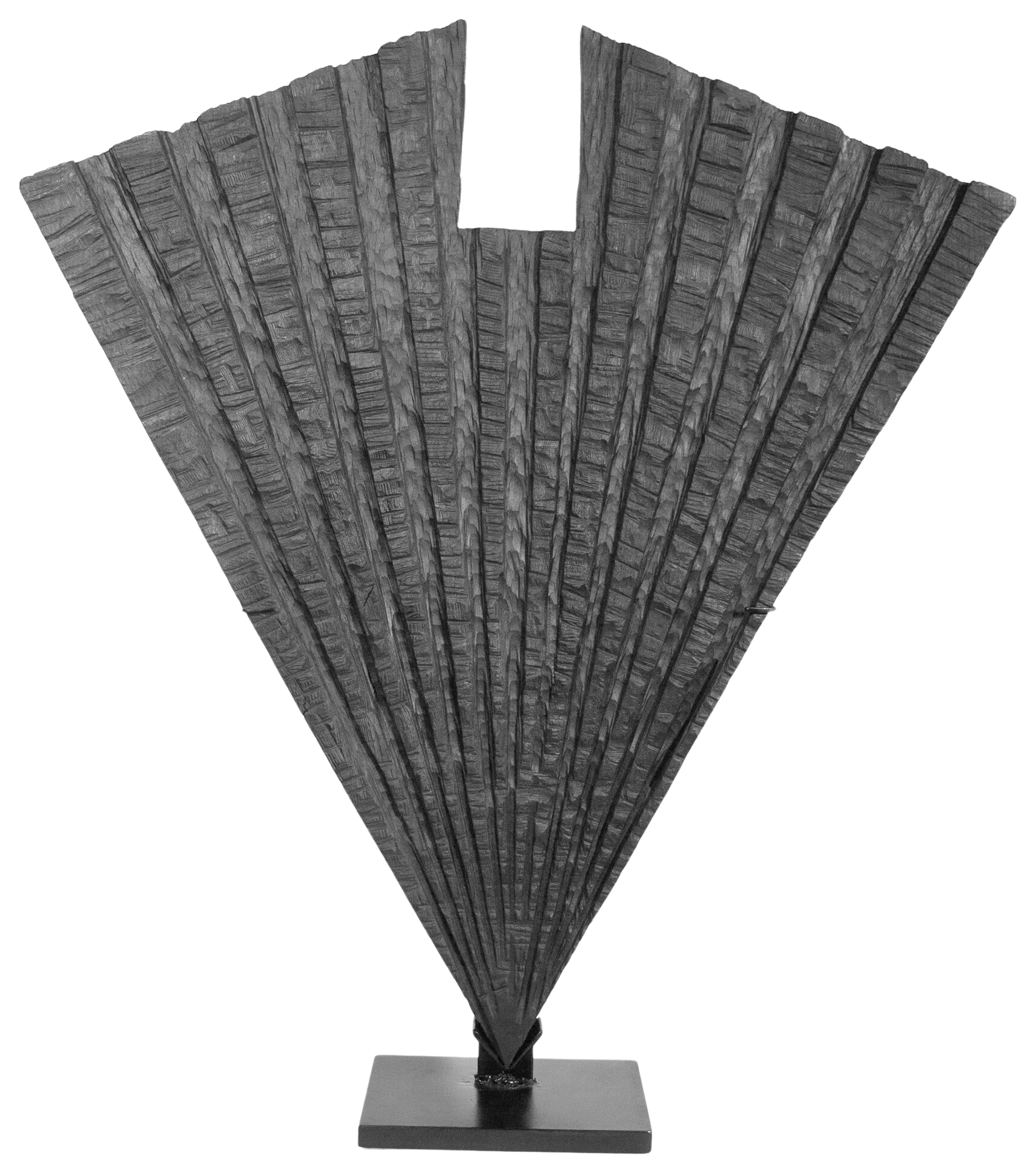TORSO