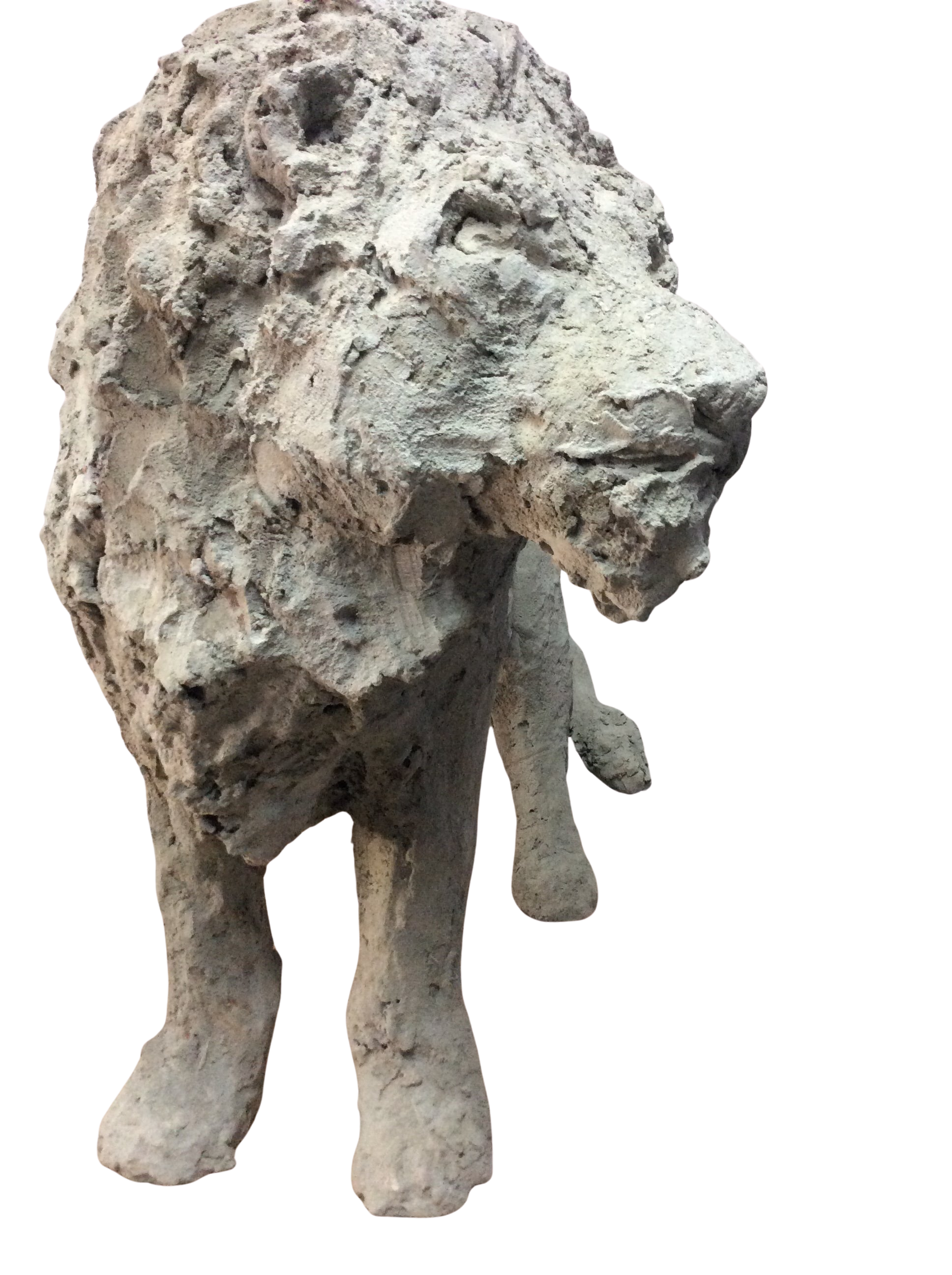león nº 2