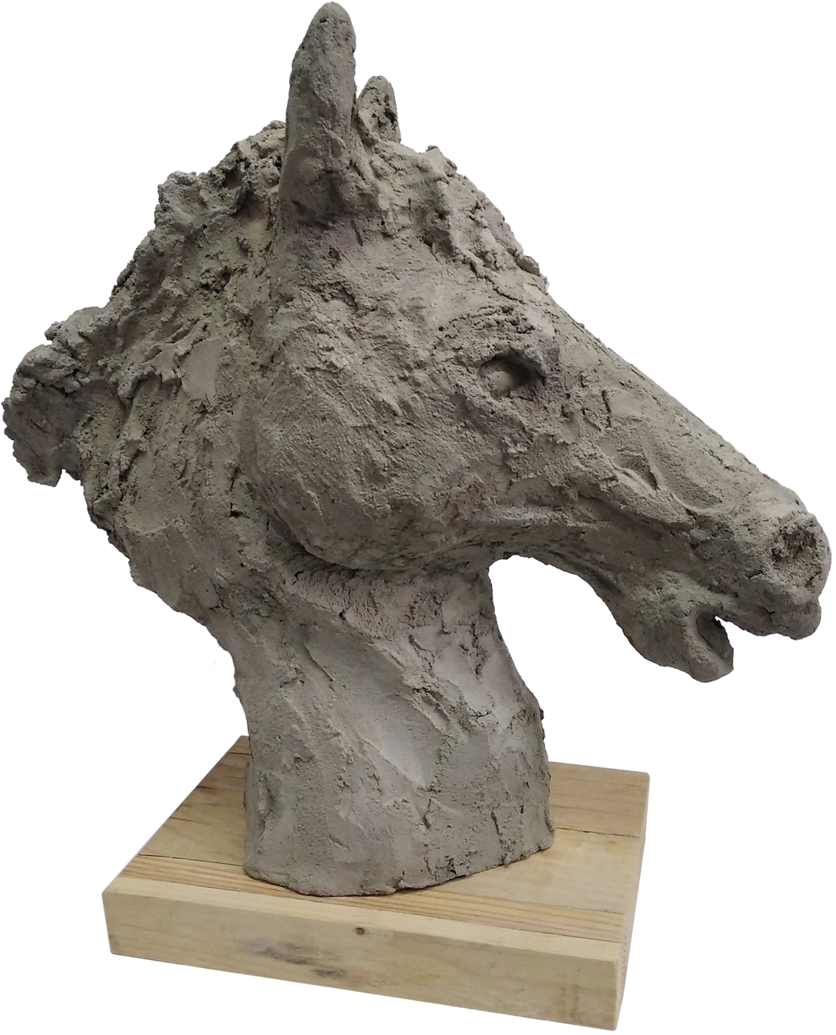 caballo nº 2 juan angel saiz manrique Sculpture for sale
