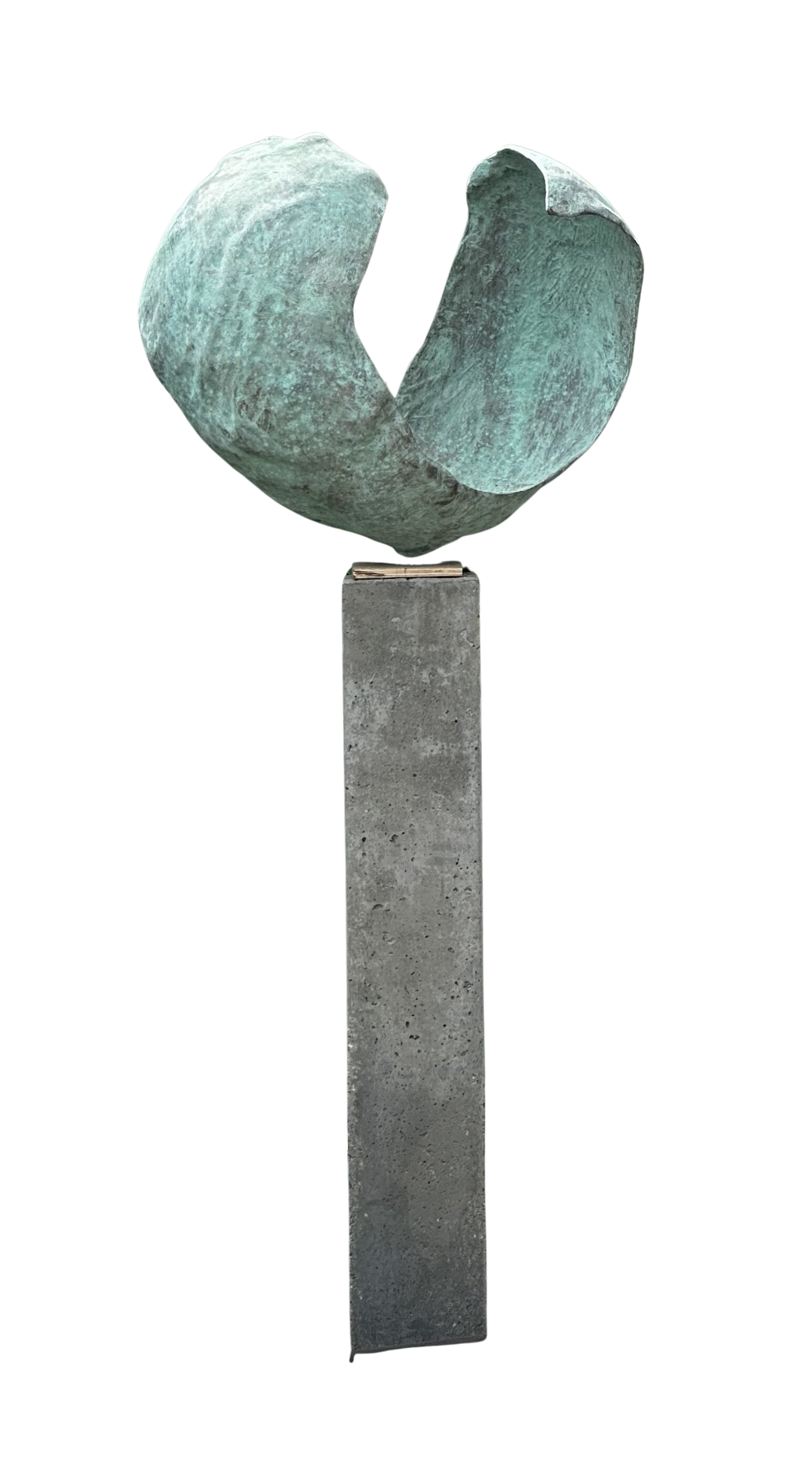 Circle of life 2026 bronze ⌀65