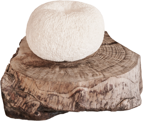 sculpture CALABAZA by Jean-Baptiste Van den Heede, Sculpture for Sale on Select