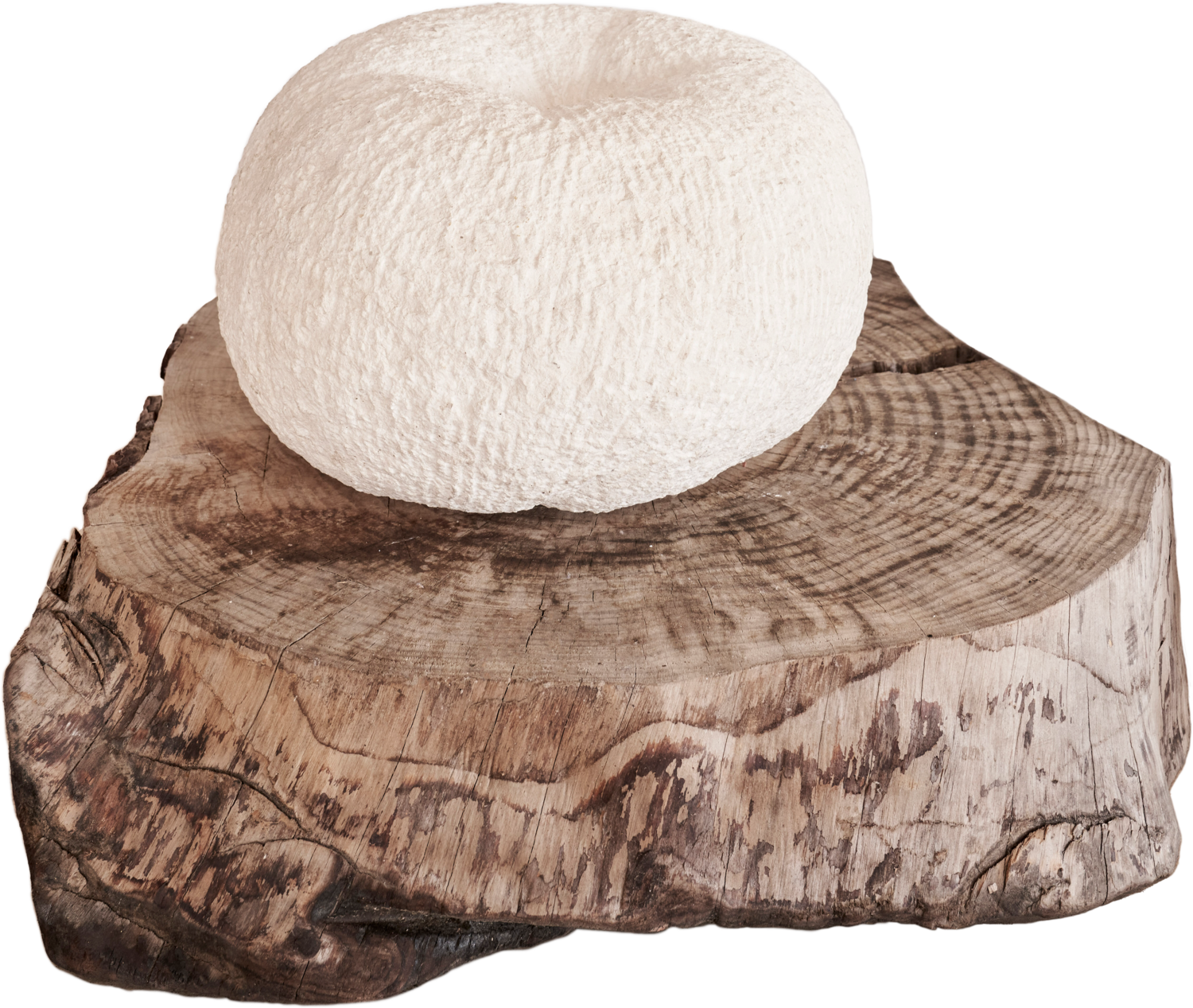 sculpture CALABAZA Jean-Baptiste Van den Heede Sculpture for sale