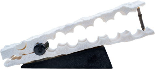 Alligator head fossil 2. by Bertalan Andrasfalvy, Sculpture for Sale on Select