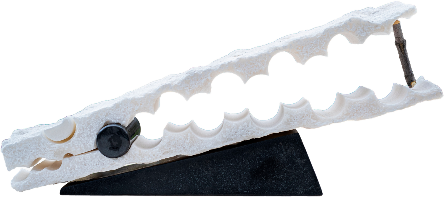 Alligator head fossil 2. Bertalan Andrasfalvy Sculpture for sale
