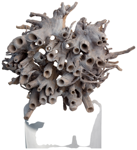 Wurzelröhrenverbund by Olli Marschall, Sculpture for Sale on Select