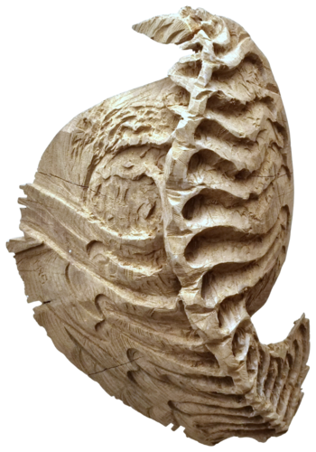 gewundene Rippenassel by Olli Marschall, Sculpture for Sale on Select