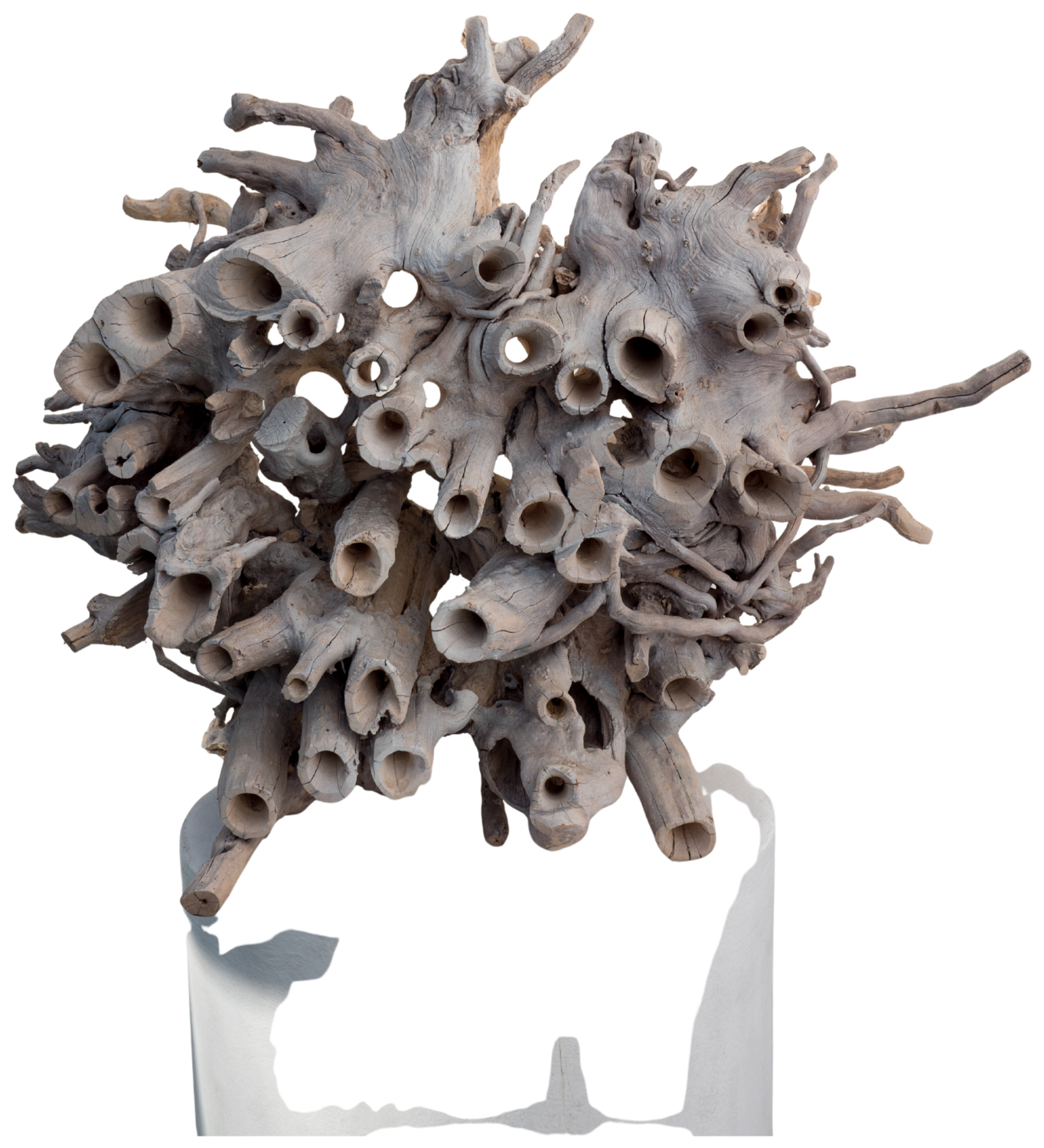 Wurzelröhrenverbund Olli Marschall Sculpture for sale