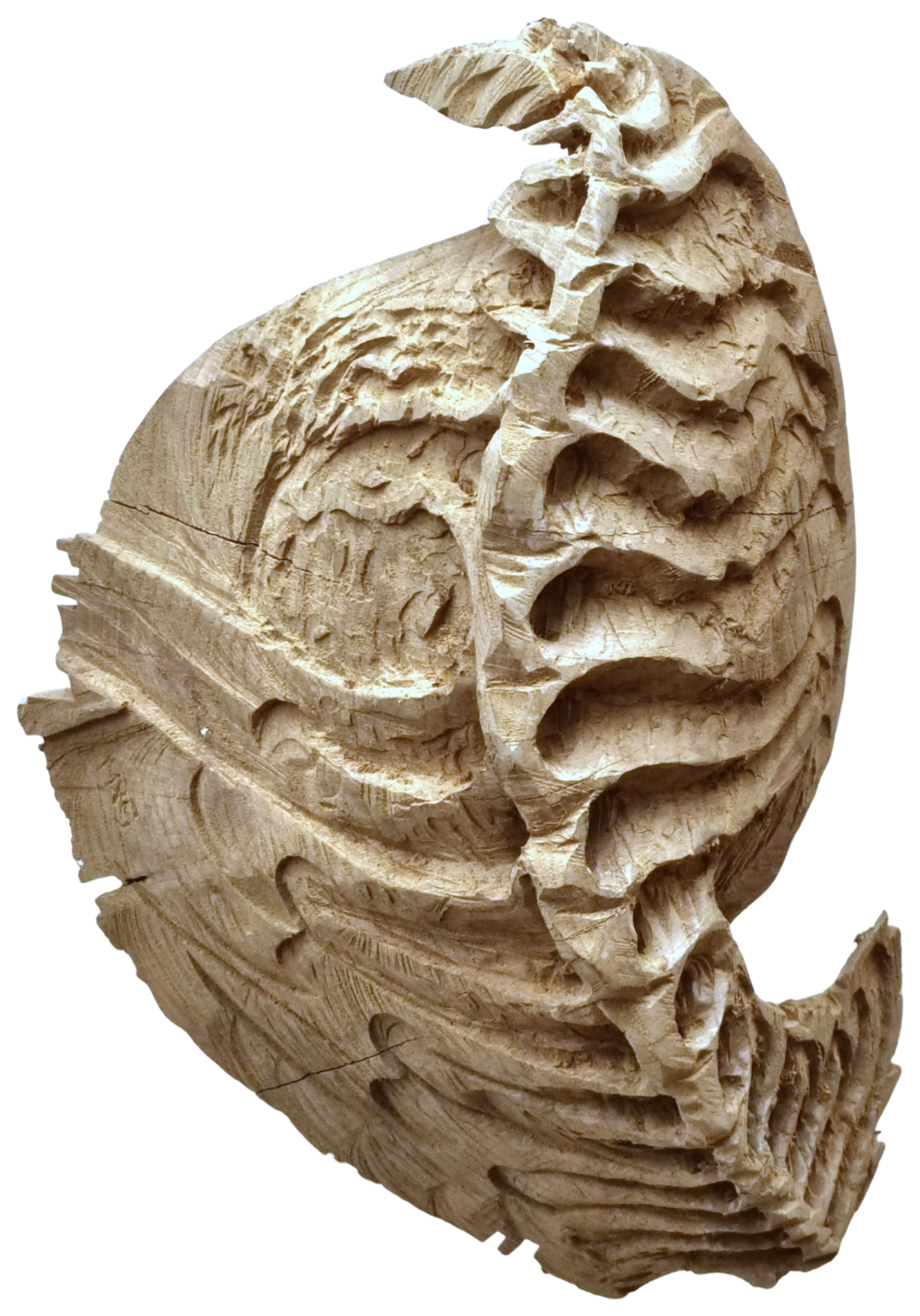 gewundene Rippenassel Olli Marschall Sculpture for sale