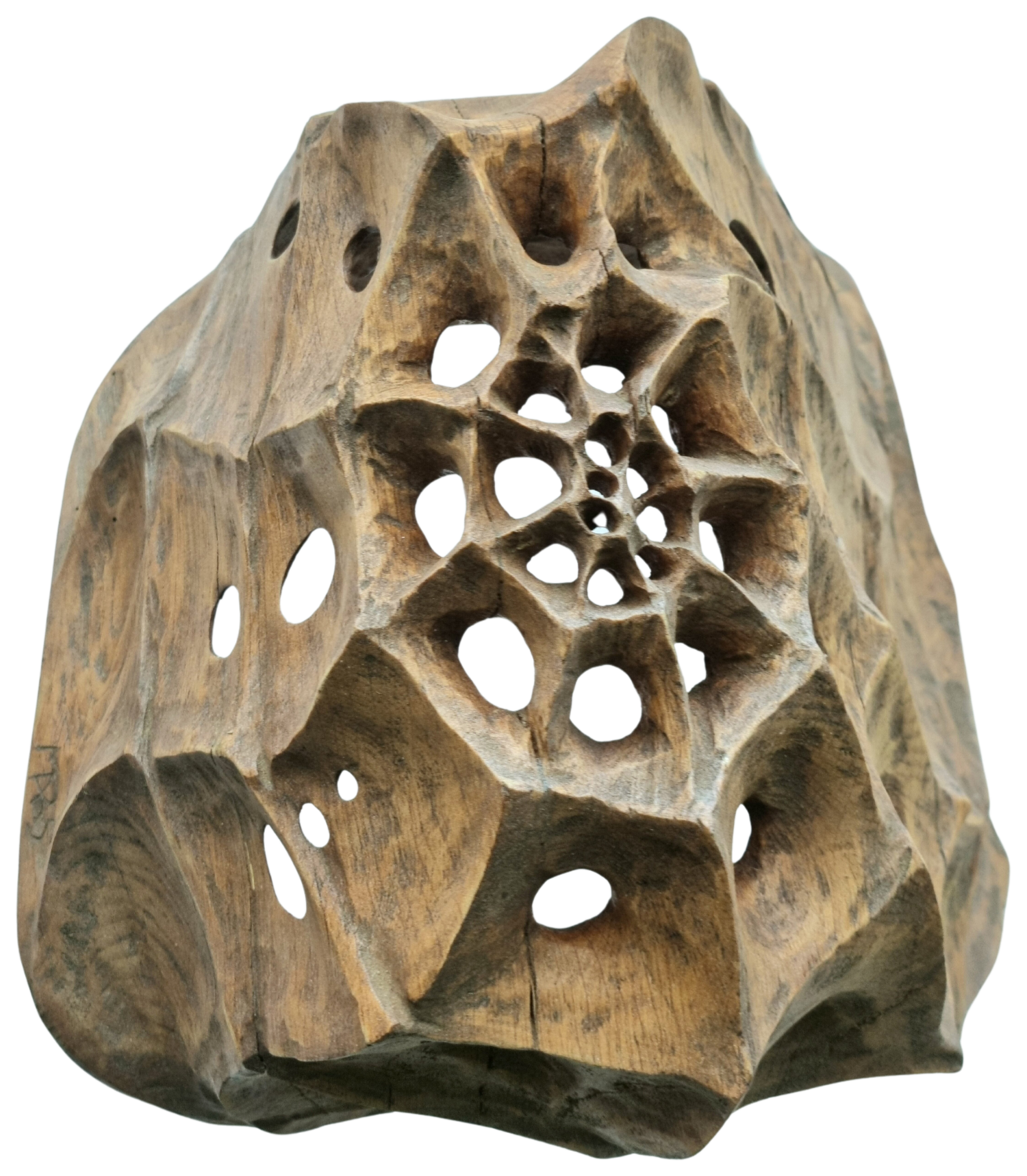 Eichennummulit Olli Marschall Sculpture for sale