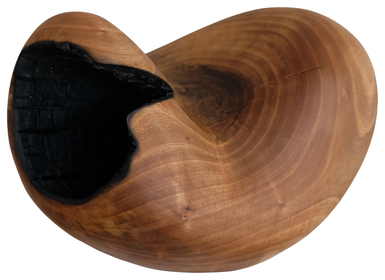 BEAN II Sylvio Eisl Sculpture for sale