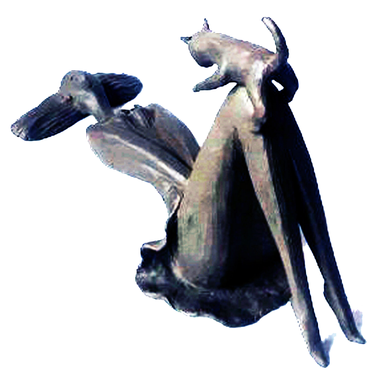 Naughty cat Zakir Ahmedov Sculpture for sale