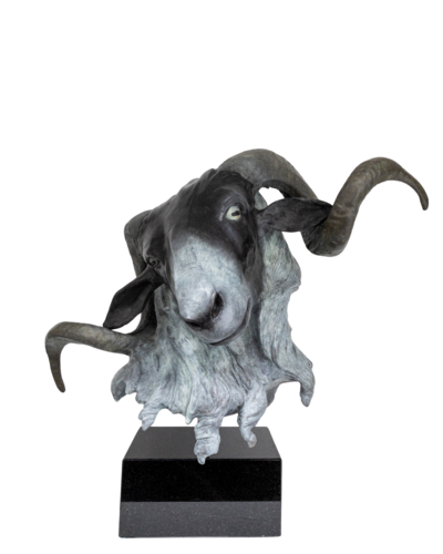 Scottish blackface ram (Ovis Aries) by Barry Davies RCA, Sculpture for Sale on Select