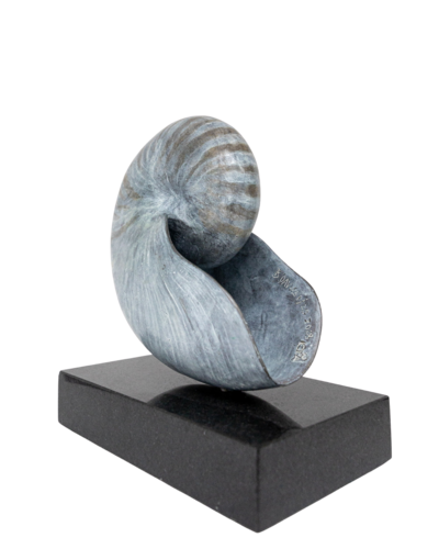 Nautilus by Barry Davies RCA, Sculpture for Sale on Select