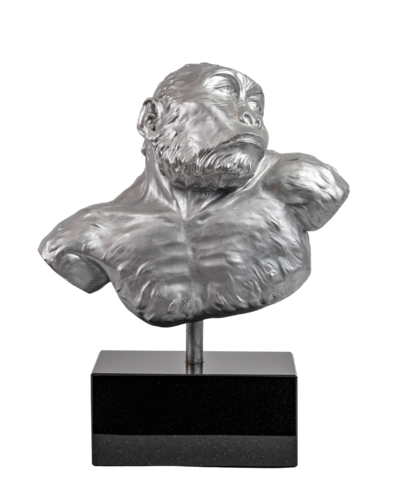 Paranthropus Robustus by Barry Davies RCA, Sculpture for Sale on Select
