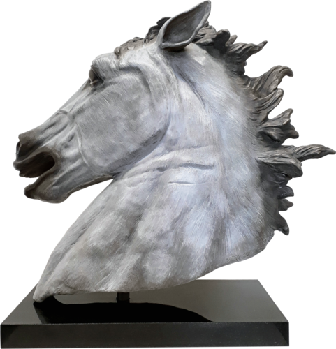 Equus Caballus (Modern Horse) by Barry Davies RCA, Sculpture for Sale on Select