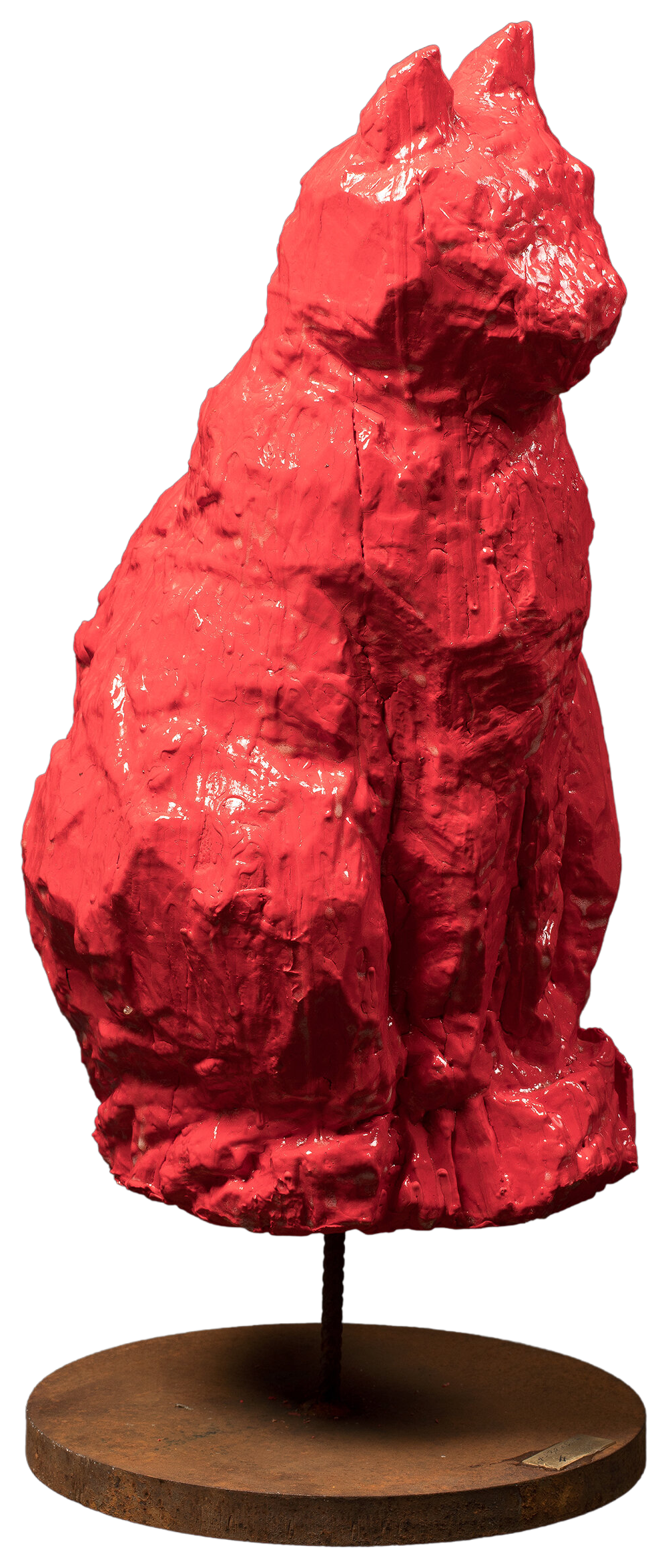 Gatto rosso che guarda lontano