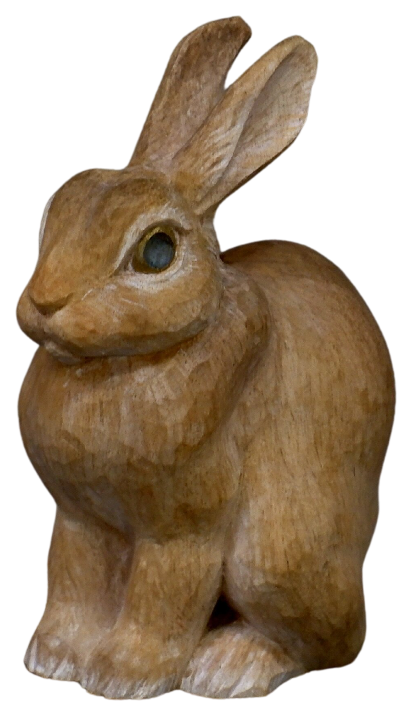 Silent Watcher of the Moonlit Forest