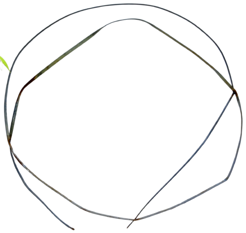 01/dreissig Schleife by Rainer Neundörfer, Sculpture for Sale on Select