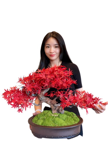 VICKY YAO