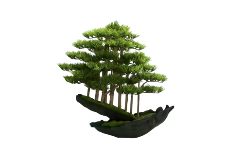 VICKY YAO Fine Bonsai - Handcrafted Bonsai Tree Sculpture Artificial Bonsai with Natural Wood Base Preserved Moss  L65xW30xH66cm by VICKY YAO, Sculpture for Sale on Select