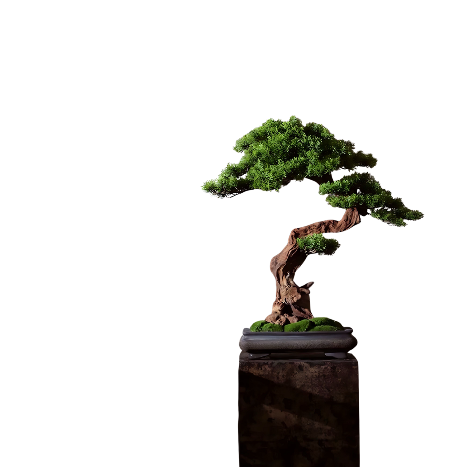VICKY YAO Fine Bonsai - Exclusively Designed Realistic Handmade Bonsai with Preserved Moss Nature Decor 59 x 25 x 65cmH VICKY YAO Sculpture for sale