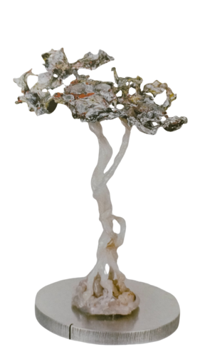 Bonsai plastico by Fiorenzo Belfiore, Sculpture for Sale on Select