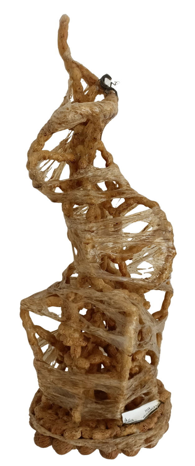 Arachide-dessossiribonucleico (DNA) Fiorenzo Belfiore Sculpture for sale