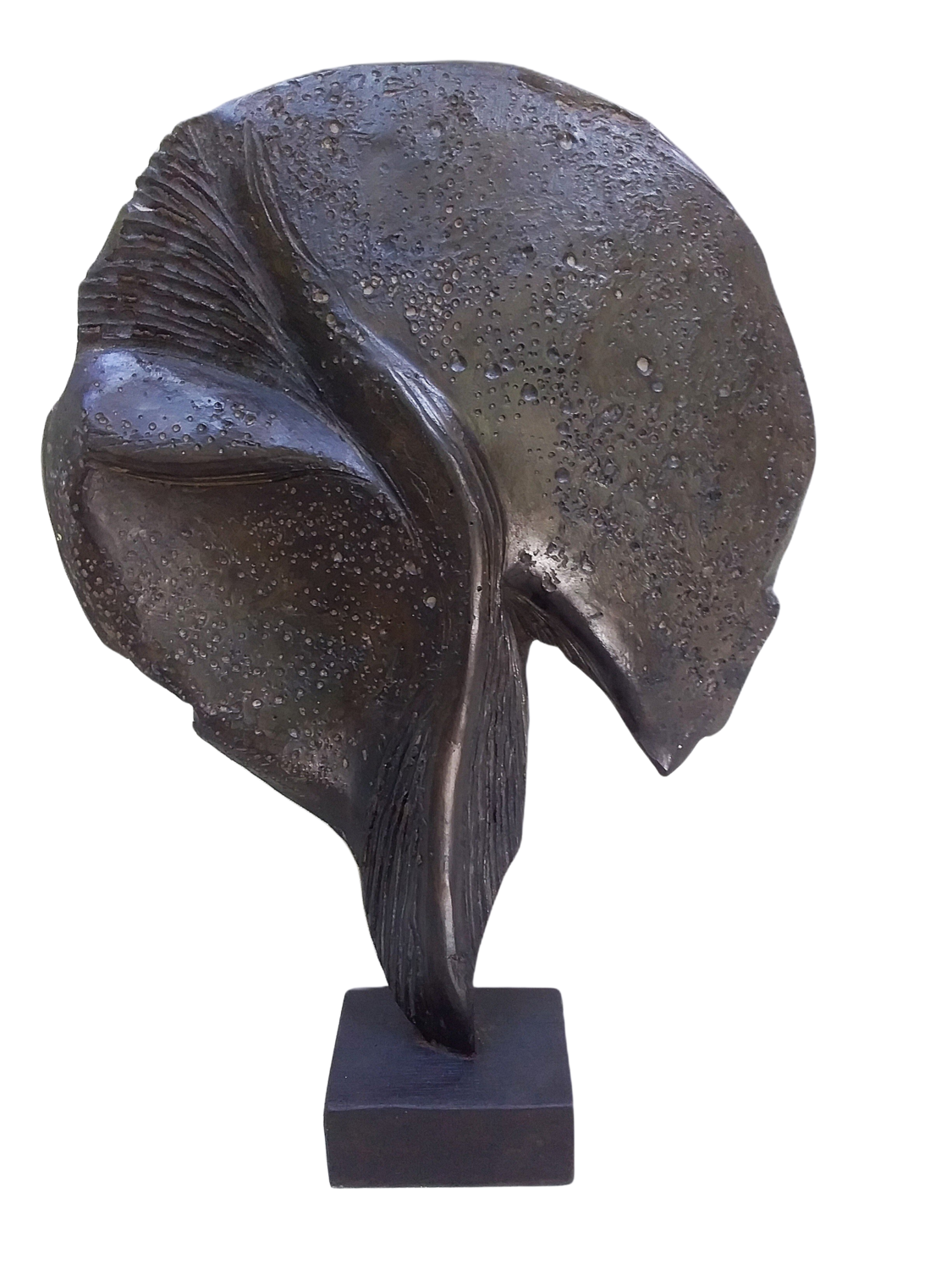 Feuille aux étoiles Valia LEMCOVICI Sculpture for sale