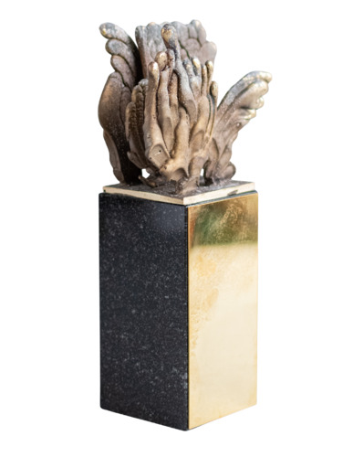 Plant Object by Gediminas Endriekus, Sculpture for Sale on Select