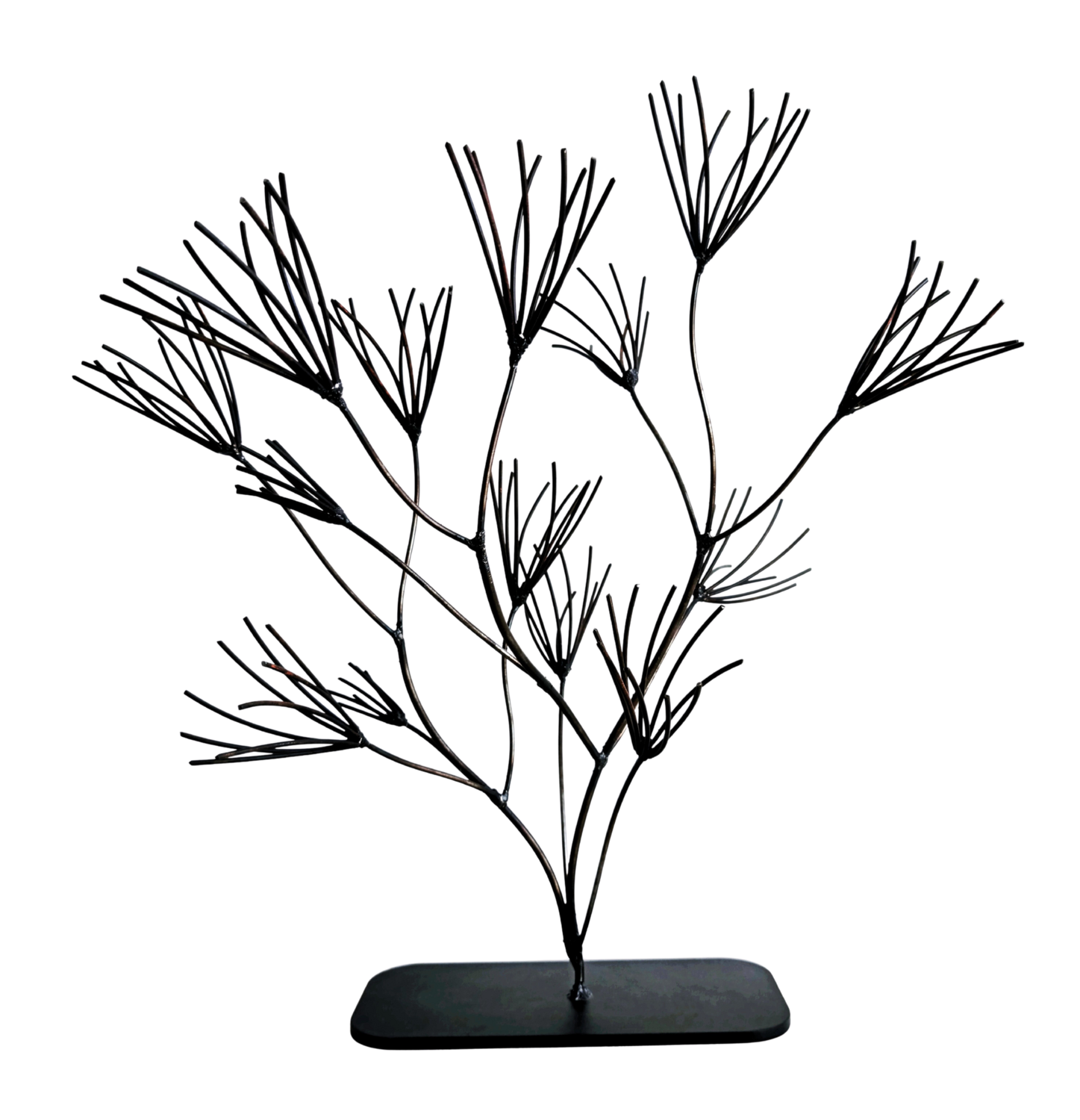 Pine Tree II. Fragment. Albert Dura Sculpture for sale