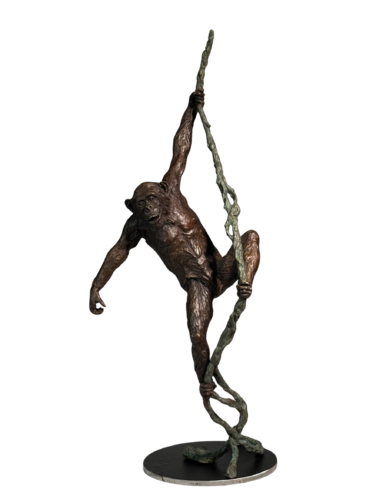 Chimpanzee on Vine by Barry Jackson, Sculpture for Sale on Select