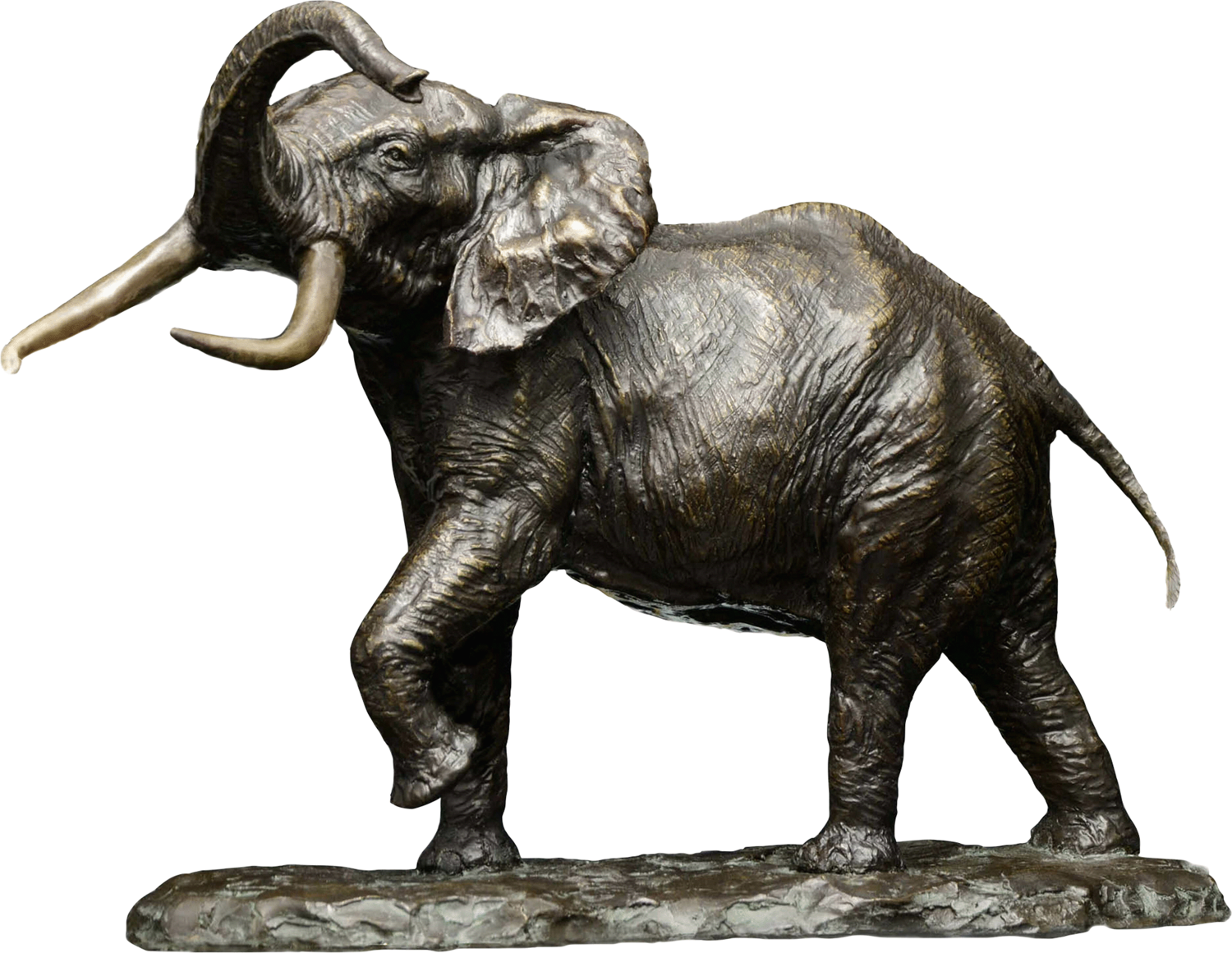 African Elephant, Big Tusker ( Limited edition ) Barry Jackson Sculpture for sale
