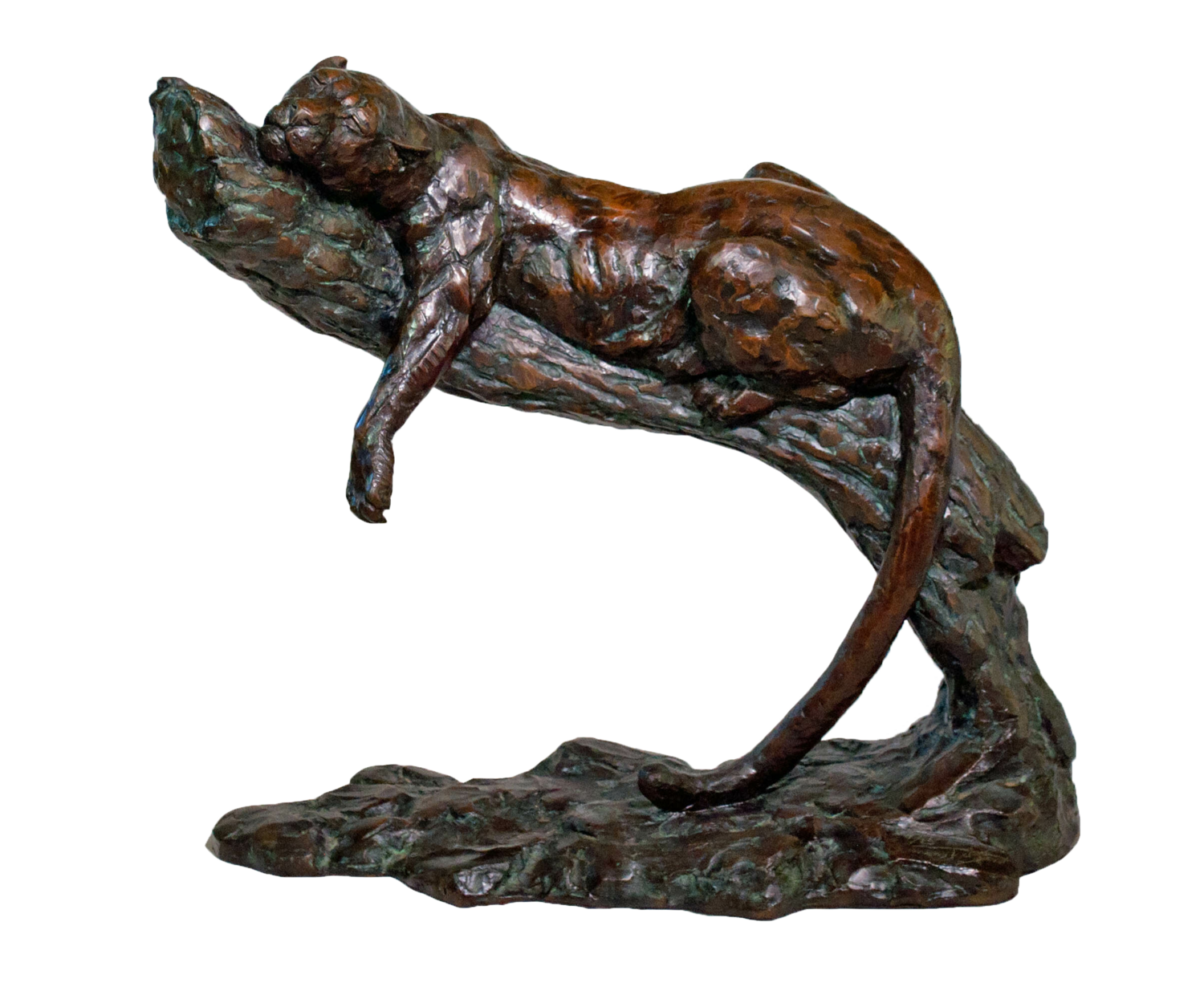 Lazy leopard (Limited edition) Barry Jackson Sculpture for sale