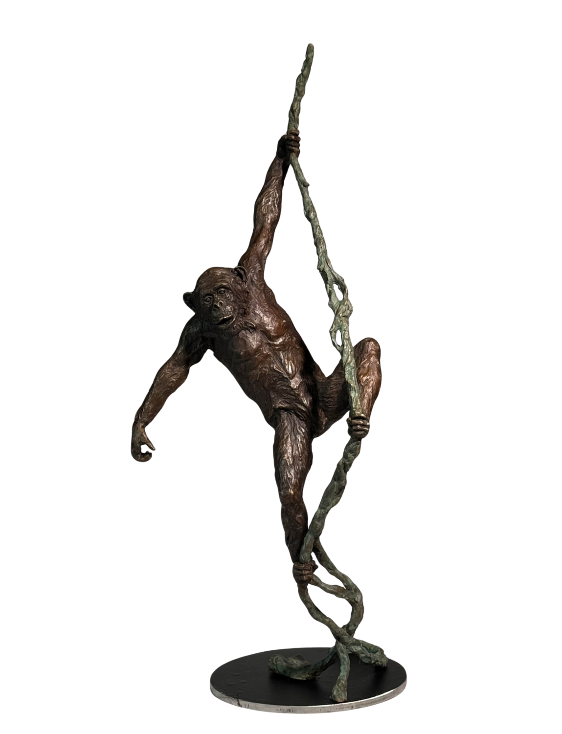 Chimpanzee on Vine Barry Jackson Sculpture for sale