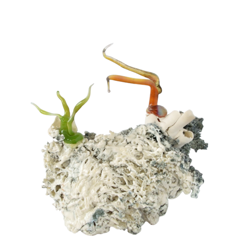 Cristallisation organique / Organic Crystallization by Asmae Laraqui, Sculpture for Sale on Select