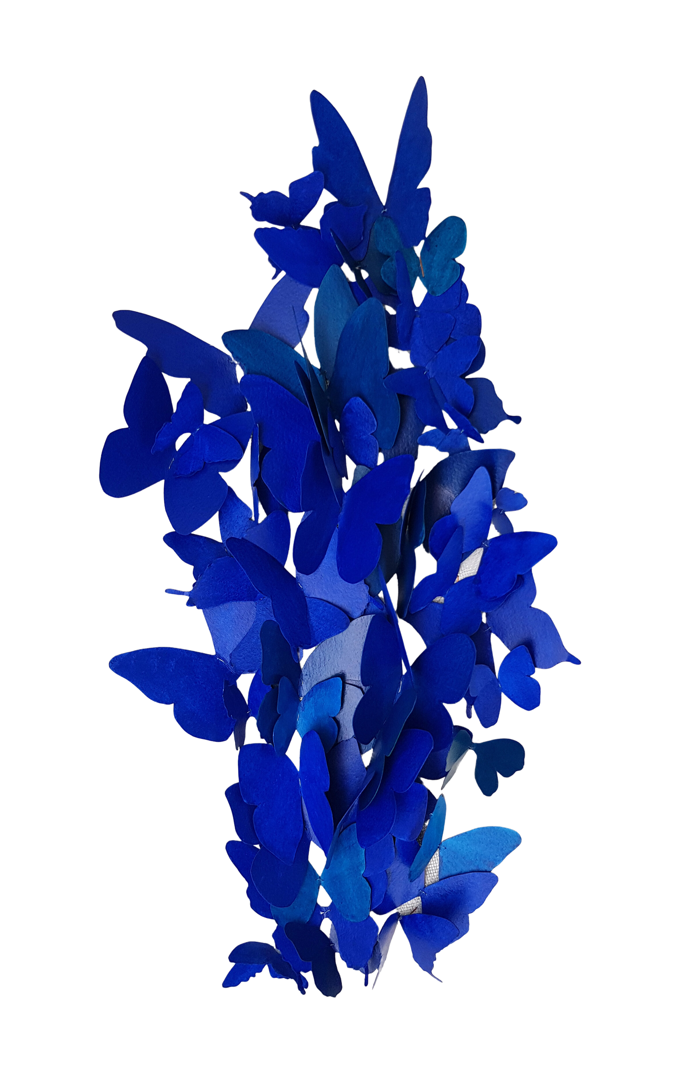 Cobalt Blue Butterflies
