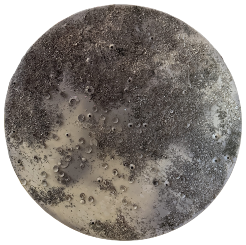 SILVER MOONLIGHT by Silvana Di Vora, Sculpture for Sale on Select