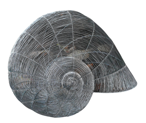 HELIX POMATIA 16 by Maja Hochuli, Sculpture for Sale on Select