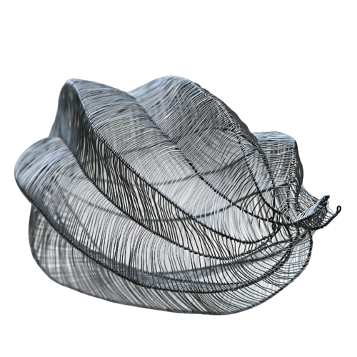 CAPSULA TORTUOSUS by Maja Hochuli, Sculpture for Sale on Select