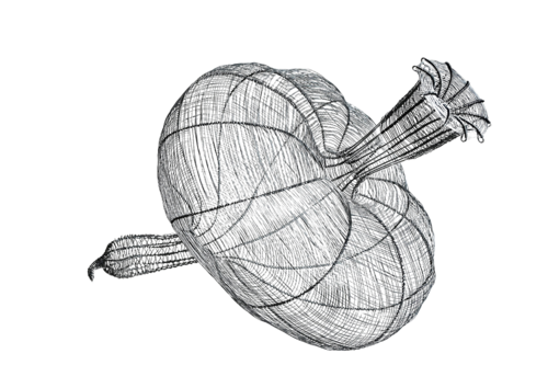 CAPSULA MIRUS by Maja Hochuli, Sculpture for Sale on Select