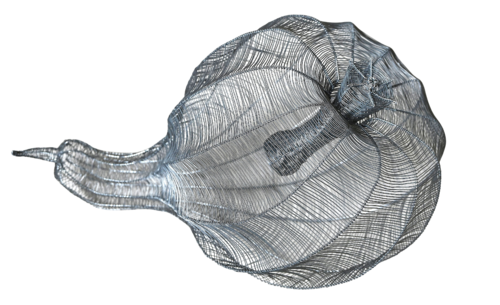 CAPSULA UNDULATUS by Maja Hochuli, Sculpture for Sale on Select