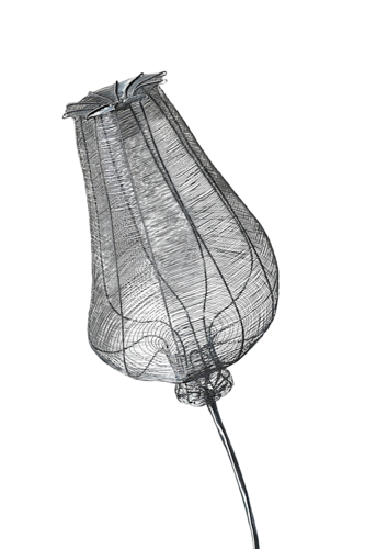 PAPAVER RHOEAS  SOLO TERTIUM by Maja Hochuli, Sculpture for Sale on Select