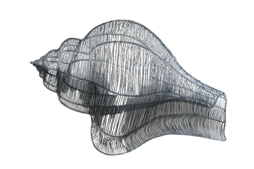 LAEVISTROMUS VER XXVI by Maja Hochuli, Sculpture for Sale on Select