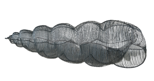 TURITELLA ATTENUATA by Maja Hochuli, Sculpture for Sale on Select