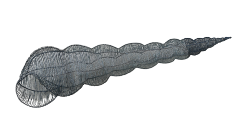 TURITELLA COMMUNIS by Maja Hochuli, Sculpture for Sale on Select