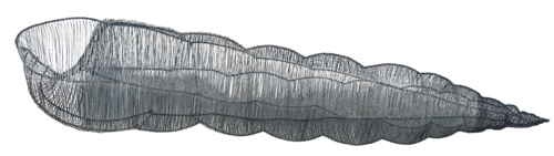 TURITELLA TEREBRA by Maja Hochuli, Sculpture for Sale on Select