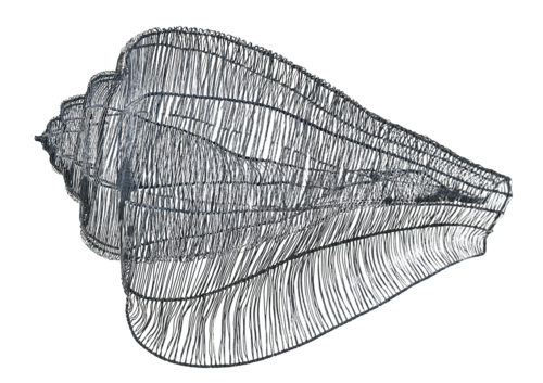CONUS AESTAS XXII by Maja Hochuli, Sculpture for Sale on Select